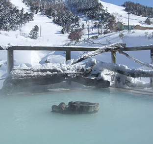 温泉の写真